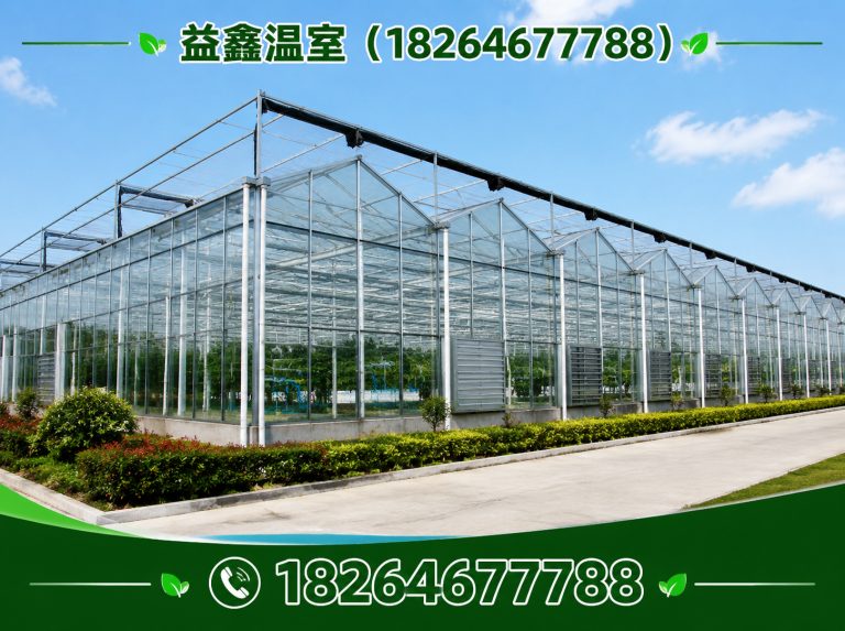 青州市温室建造厂家展示图