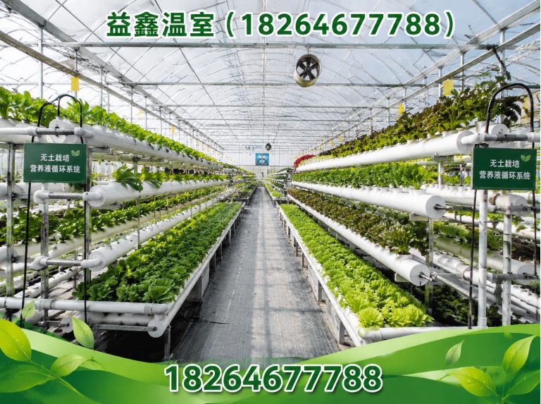 青州市益鑫温室展示图