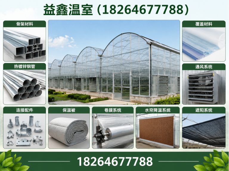 青州市无土栽培大棚展示图